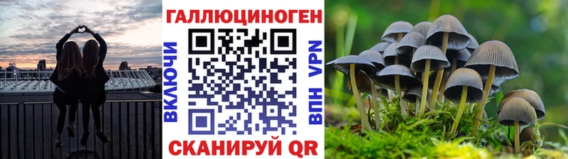 Галлюциногенные грибы Magic Shrooms  Купить  Тулун 